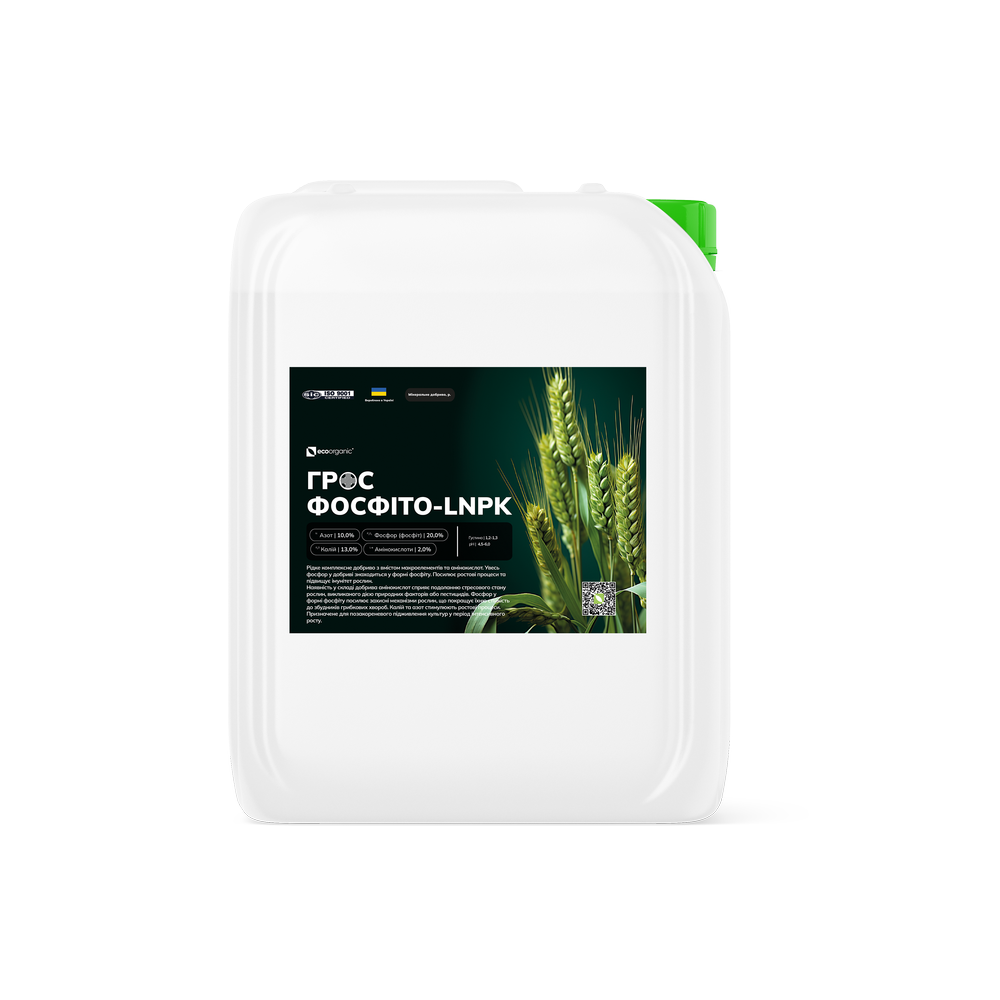 22c5fd0cf43d31af18a88008f1c3cd48_orig