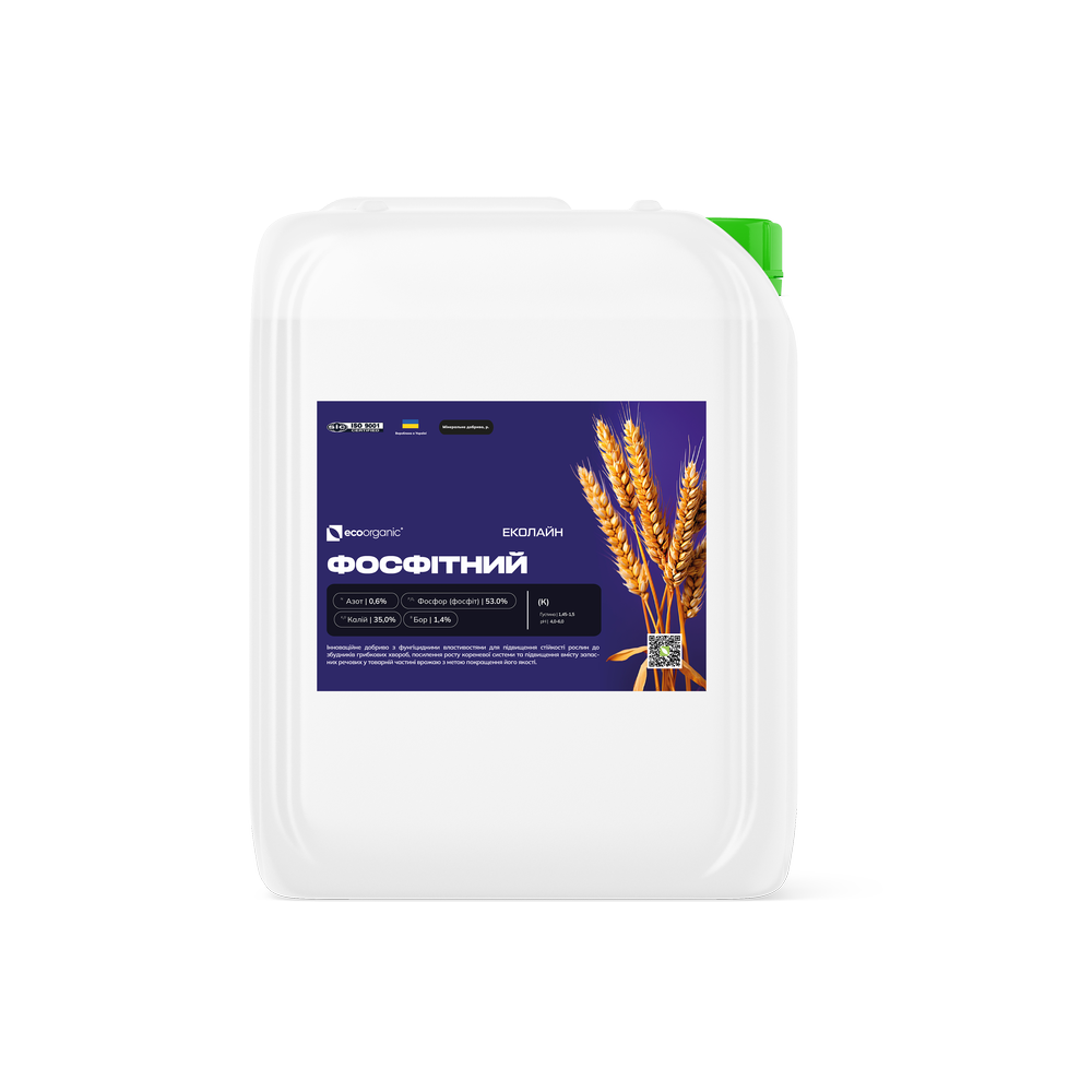 755fc6cded3256866ca78e7776d3c894_orig